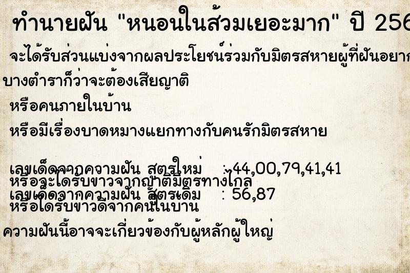 ทำนายฝัน หนอนในส้วมเยอะมาก ทำนายฝัน หนอนในส้วมเยอะมาก