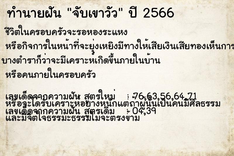 ทำนายฝันจับเขาวัว ทำนายฝันทำนายฝันจับเขาวัว