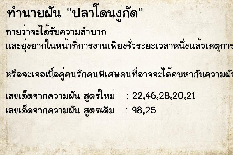 ทำนายฝัน ปลาโดนงูกัด ทำนายฝัน ปลาโดนงูกัด