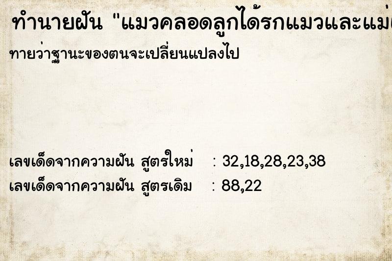 ทำนายฝันแมวคลอดลูกได้รกแมวและแม่แมวตาย ทำนายฝันทำนายฝันแมวคลอดลูกได้รกแมวและแม่แมวตาย