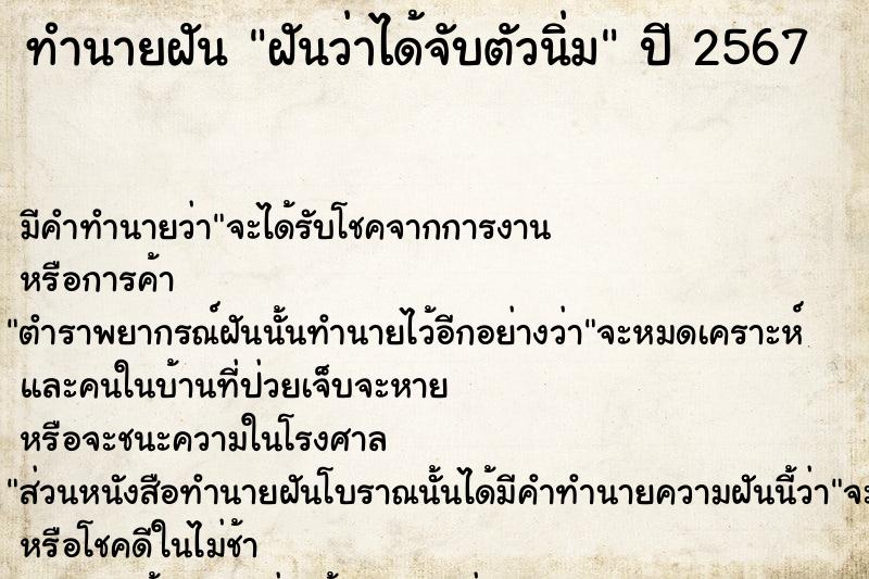 ทำนายฝัน ฝันว่าได้จับตัวนิ่ม ทำนายฝัน ฝันว่าได้จับตัวนิ่ม