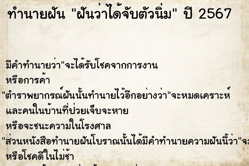 ทำนายฝัน ฝันว่าได้จับตัวนิ่ม ตำราโบราณ แม่นที่สุดในโลก