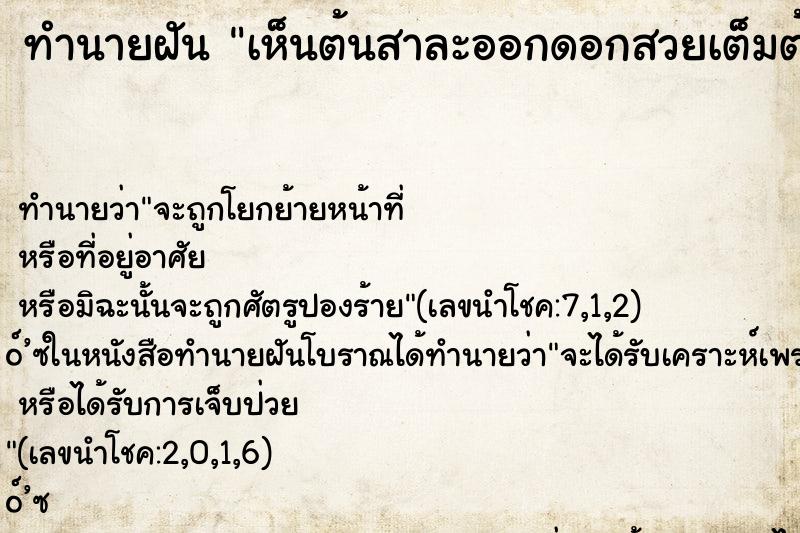 ทำนายฝันทำนายฝันเห็นต้นสาละออกดอกสวยเต็มต้น