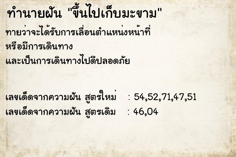 ทำนายฝันขึ้นไปเก็บมะขาม ทำนายฝันทำนายฝันขึ้นไปเก็บมะขาม