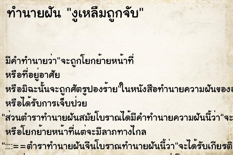 ทำนายฝันงูเหลืมถูกจับ ทำนายฝันทำนายฝันงูเหลืมถูกจับ