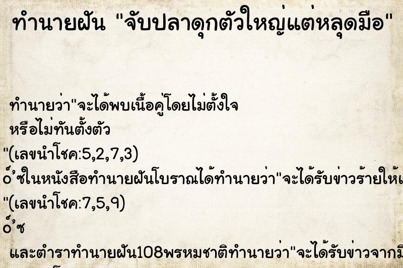 ทำนายฝัน จับปลาดุกตัวใหญ่แต่หลุดมือ ตำราโบราณ แม่นที่สุดในโลก