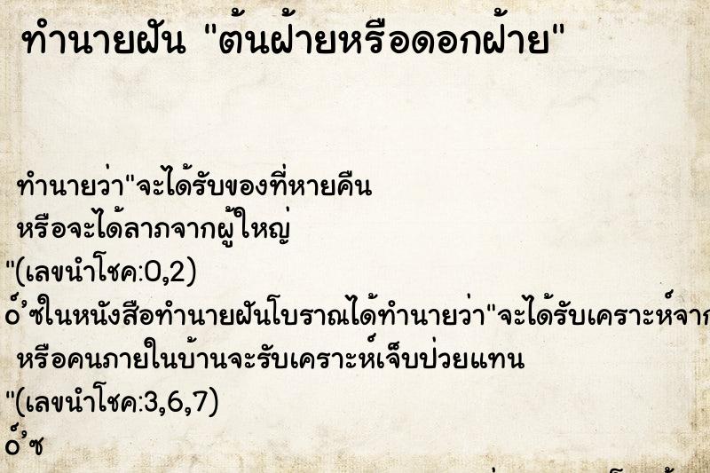 ทำนายฝันต้นฝ้ายหรือดอกฝ้าย ทำนายฝันทำนายฝันต้นฝ้ายหรือดอกฝ้าย