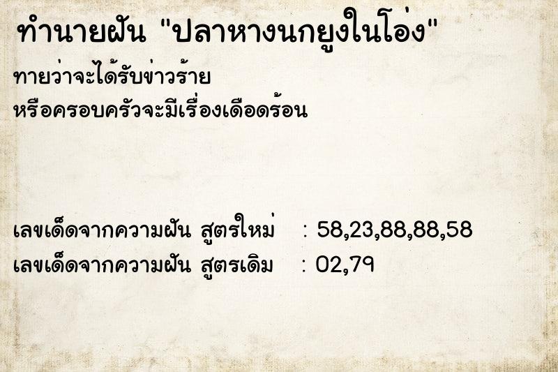 ทำนายฝันทำนายฝันปลาหางนกยูงในโอ่ง