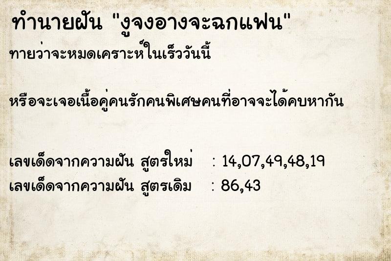 ทำนายฝันทำนายฝันงูจงอางจะฉกแฟน