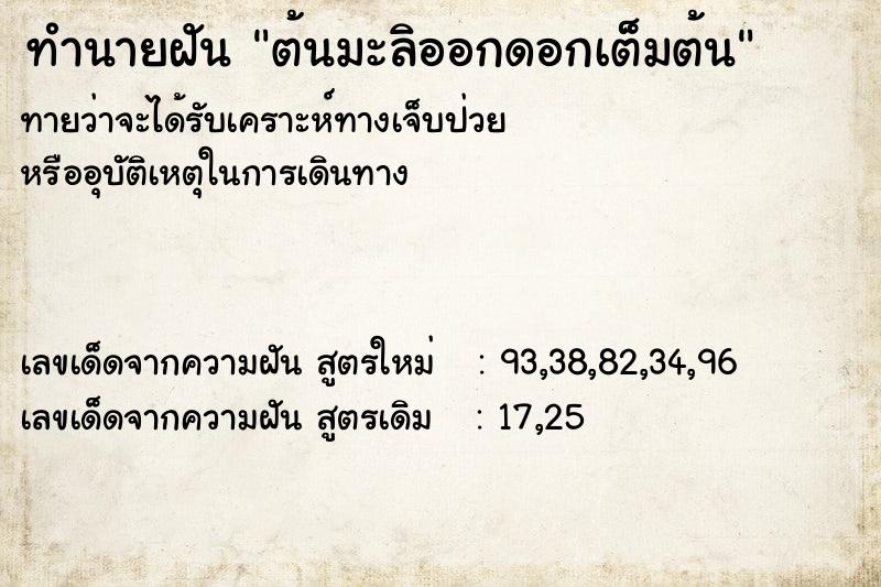 ทำนายฝัน ต้นมะลิออกดอกเต็มต้น ทำนายฝัน ต้นมะลิออกดอกเต็มต้น