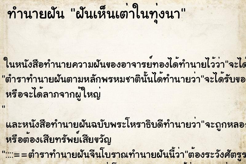 ทำนายฝันทำนายฝันฝันเห็นเต่าในทุ่งนา