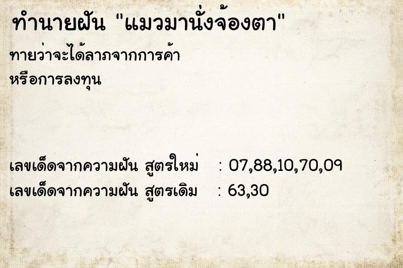 ทำนายฝันแมวมานั่งจ้องตา ทำนายฝันทำนายฝันแมวมานั่งจ้องตา