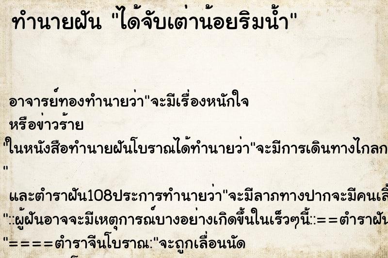 ทำนายฝันทำนายฝันได้จับเต่าน้อยริมน้ำ