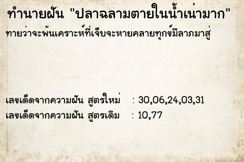 ทำนายฝัน ปลาฉลามตายในน้ำเน่ามาก ทำนายฝัน ปลาฉลามตายในน้ำเน่ามาก