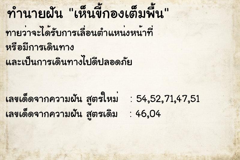 ทำนายฝันเห็นขี้กองเต็มพื้น ทำนายฝันทำนายฝันเห็นขี้กองเต็มพื้น