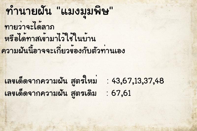 ทำนายฝันทำนายฝันแมงมุมพิษ