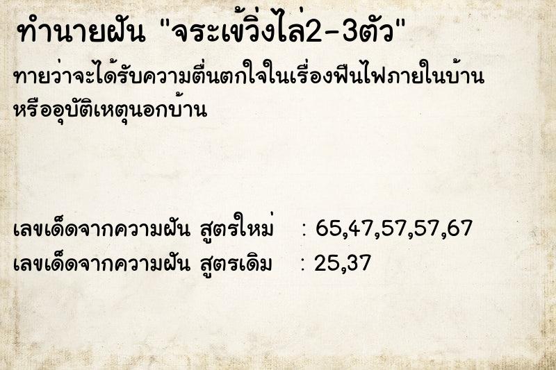 ทำนายฝันทำนายฝันจระเข้วิ่งไล่2-3ตัว