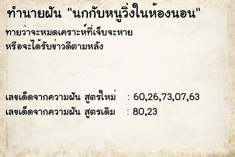 ทำนายฝันนกกับหนูวิ่งในห้องนอน ทำนายฝันทำนายฝันนกกับหนูวิ่งในห้องนอน