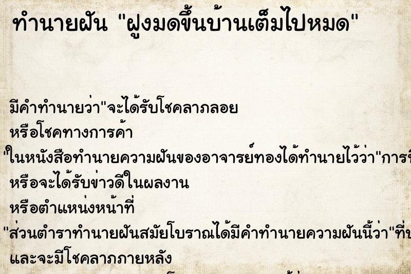 ทำนายฝัน ฝูงมดขึ้นบ้านเต็มไปหมด ทำนายฝัน ฝูงมดขึ้นบ้านเต็มไปหมด