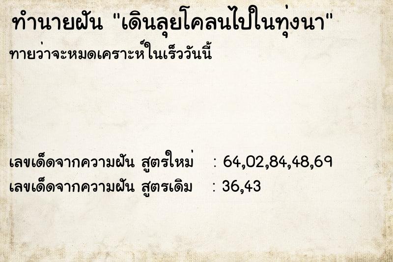 ทำนายฝันทำนายฝันเดินลุยโคลนไปในทุ่งนา
