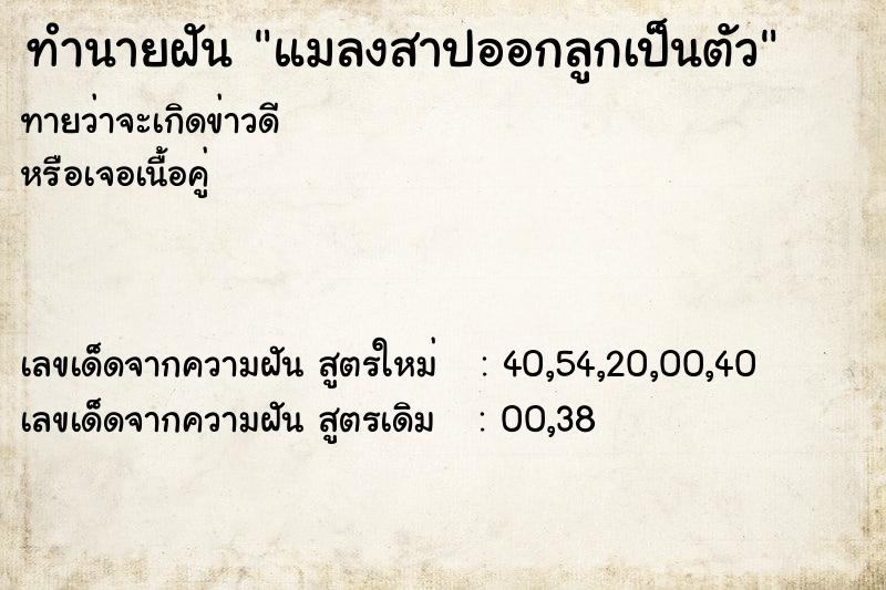 ทำนายฝันทำนายฝันแมลงสาปออกลูกเป็นตัว