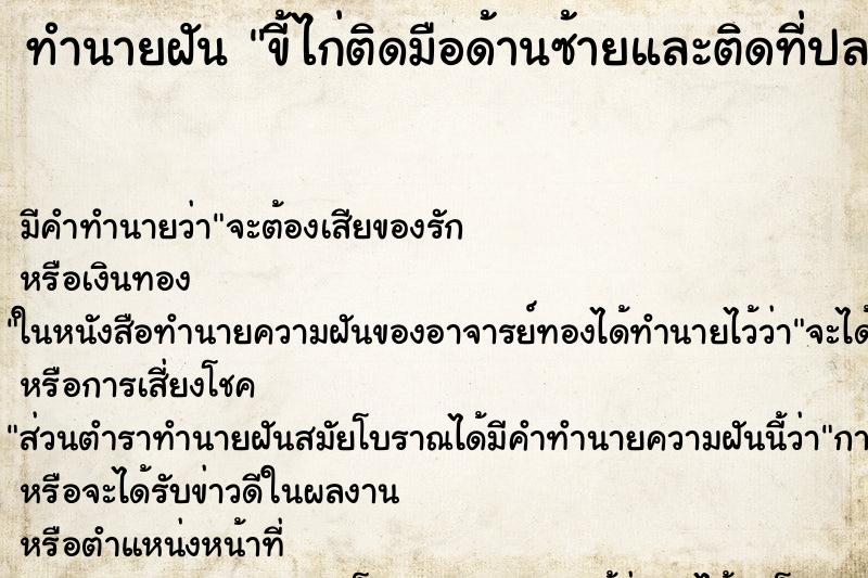 ทำนายฝัน ขี้ไก่ติดมือด้านซ้ายและติดที่ปลายผม ทำนายฝัน ขี้ไก่ติดมือด้านซ้ายและติดที่ปลายผม