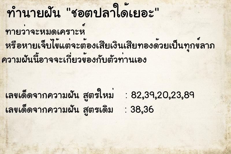 ทำนายฝันชอตปลาใด้เยอะ ทำนายฝันทำนายฝันชอตปลาใด้เยอะ