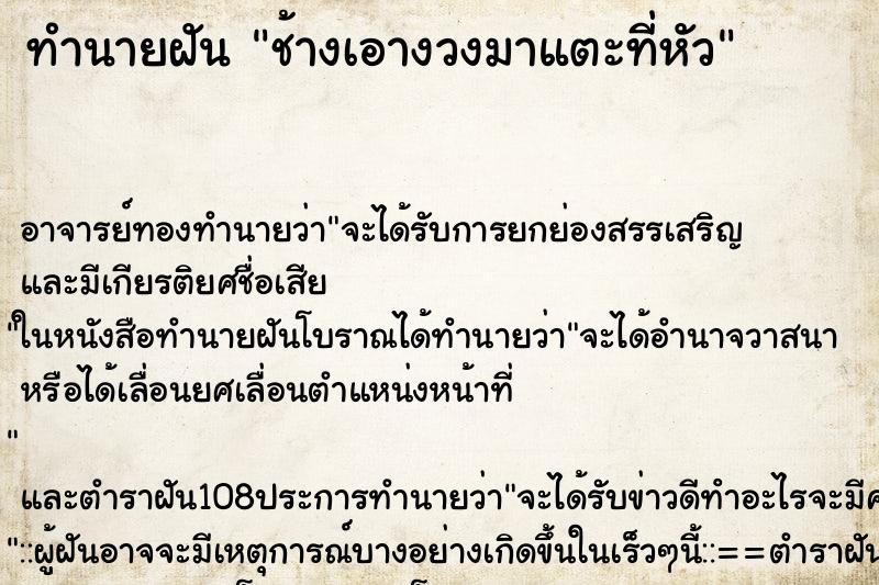 ทำนายฝัน ช้างเอางวงมาแตะที่หัว ทำนายฝัน ช้างเอางวงมาแตะที่หัว