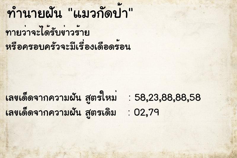 ทำนายฝันแมวกัดป้า ทำนายฝันทำนายฝันแมวกัดป้า