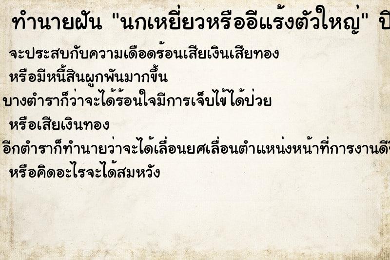 ทำนายฝัน นกเหยี่ยวหรืออีแร้งตัวใหญ่