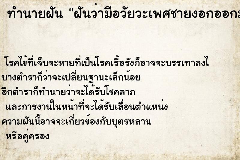 ทำนายฝันฝันว่ามีอวัยวะเพศชายงอกออกมา2อัน ทำนายฝันทำนายฝันฝันว่ามีอวัยวะเพศชายงอกออกมา2อัน
