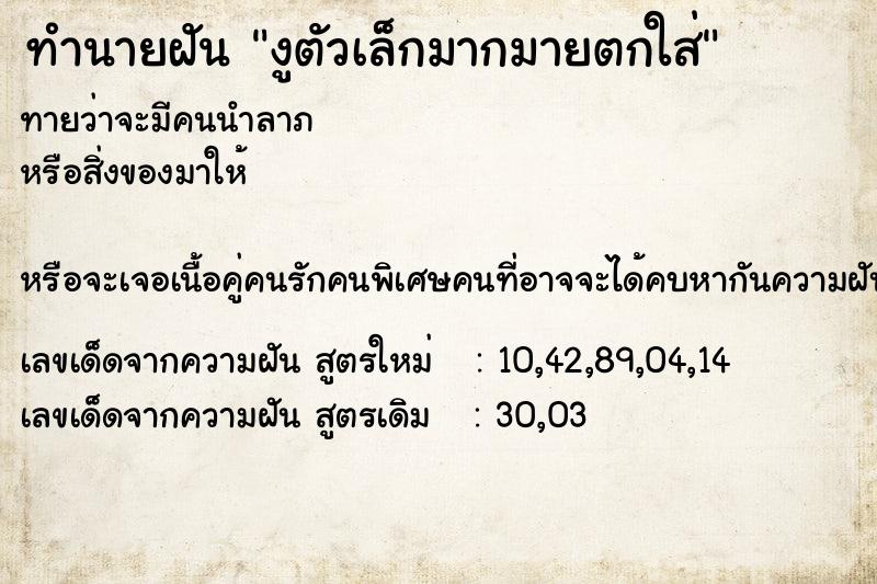 ทำนายฝัน งูตัวเล็กมากมายตกใส่