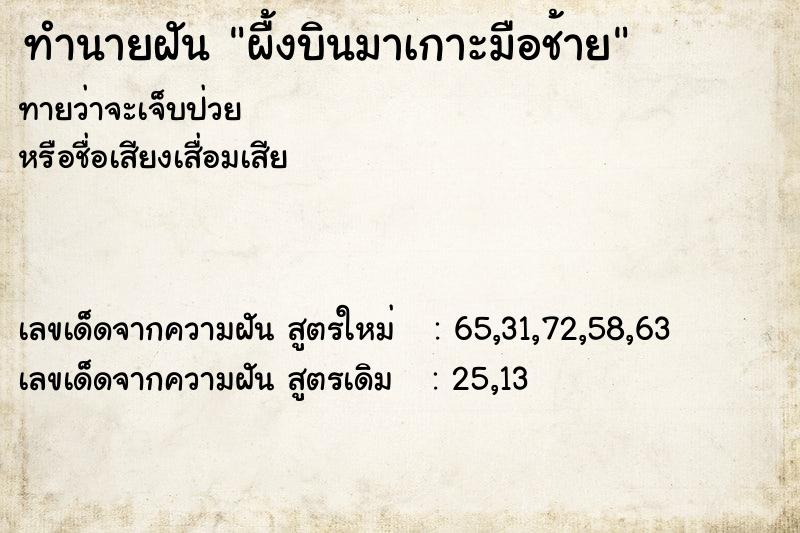ทำนายฝันผื้งบินมาเกาะมือช้าย ทำนายฝันทำนายฝันผื้งบินมาเกาะมือช้าย