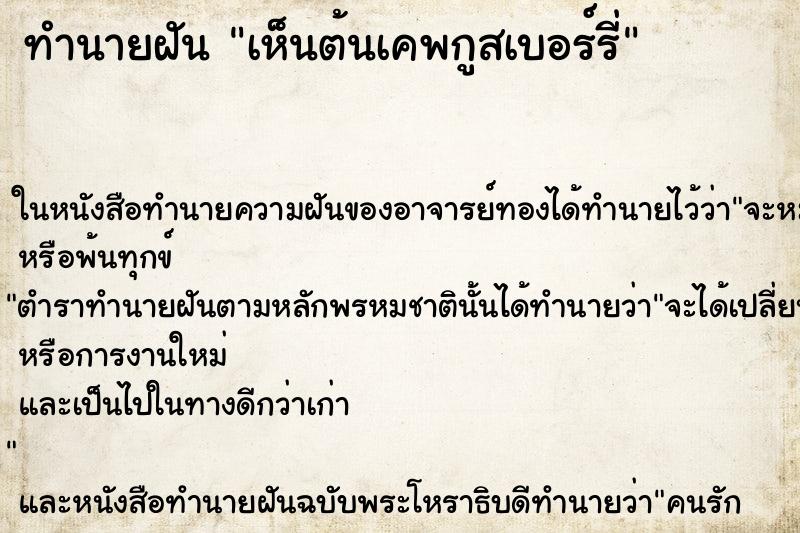 ทำนายฝันทำนายฝันเห็นต้นเคพกูสเบอร์รี่