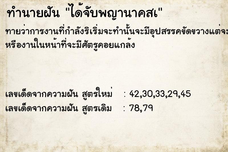 ทำนายฝันทำนายฝันได้จับพญานาคสà