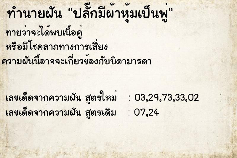 ทำนายฝันปลั๊กมีผ้าหุ้มเป็นพู่ ทำนายฝันทำนายฝันปลั๊กมีผ้าหุ้มเป็นพู่