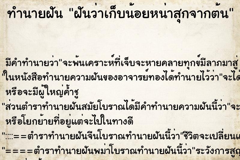 ทำนายฝันฝันว่าเก็บน้อยหน่าสุกจากต้น ทำนายฝันทำนายฝันฝันว่าเก็บน้อยหน่าสุกจากต้น
