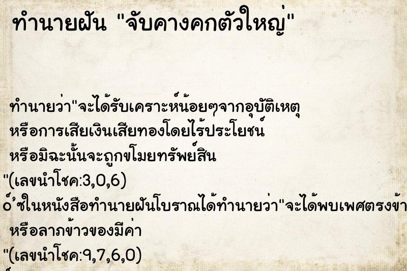 ทำนายฝัน จับคางคกตัวใหญ่