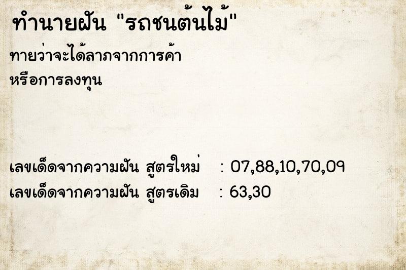 ทำนายฝัน รถชนต้นไม้