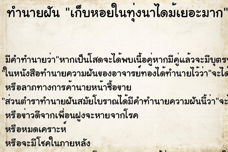 ทำนายฝันทำนายฝันเก็บหอยในทุ่งนาไดม้เยอะมาก