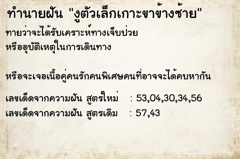 ทำนายฝัน งูตัวเล็กเกาะขาข้างซ้าย ทำนายฝัน งูตัวเล็กเกาะขาข้างซ้าย