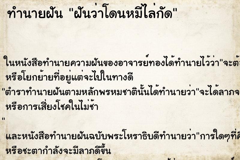 ทำนายฝัน ฝันว่าโดนหมีไล่กัด
