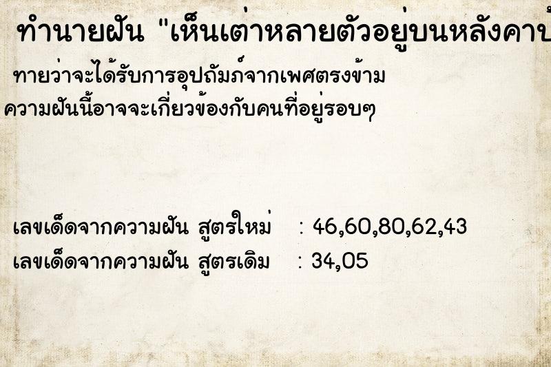 ทำนายฝัน เห็นเต่าหลายตัวอยู่บนหลังคาบ้าน ทำนายฝัน เห็นเต่าหลายตัวอยู่บนหลังคาบ้าน