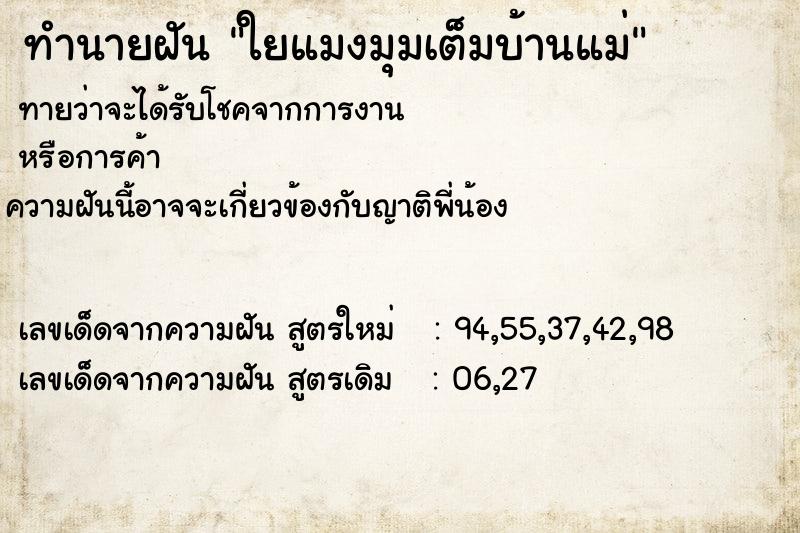 ทำนายฝันใยแมงมุมเต็มบ้านแม่ ทำนายฝันทำนายฝันใยแมงมุมเต็มบ้านแม่