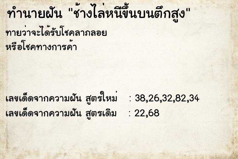 ทำนายฝัน ช้างไล่หนีขึ้นบนตึกสูง ทำนายฝัน ช้างไล่หนีขึ้นบนตึกสูง