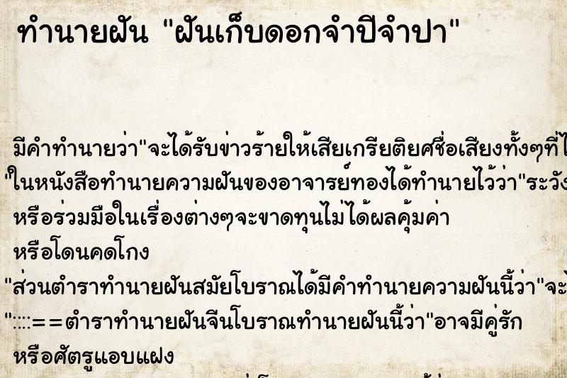 ทำนายฝันฝันเก็บดอกจำปีจำปา ทำนายฝันทำนายฝันฝันเก็บดอกจำปีจำปา