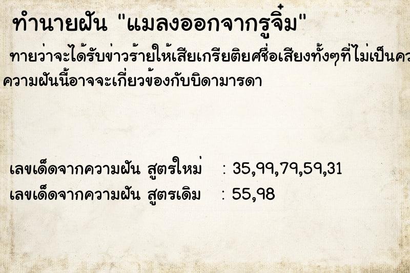 ทำนายฝันทำนายฝันแมลงออกจากรูจิ๋ม