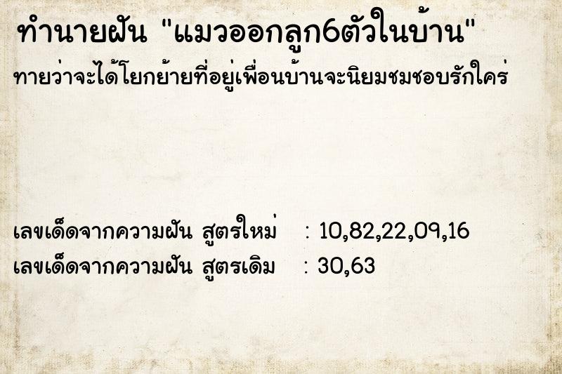 ทำนายฝัน แมวออกลูก6ตัวในบ้าน
