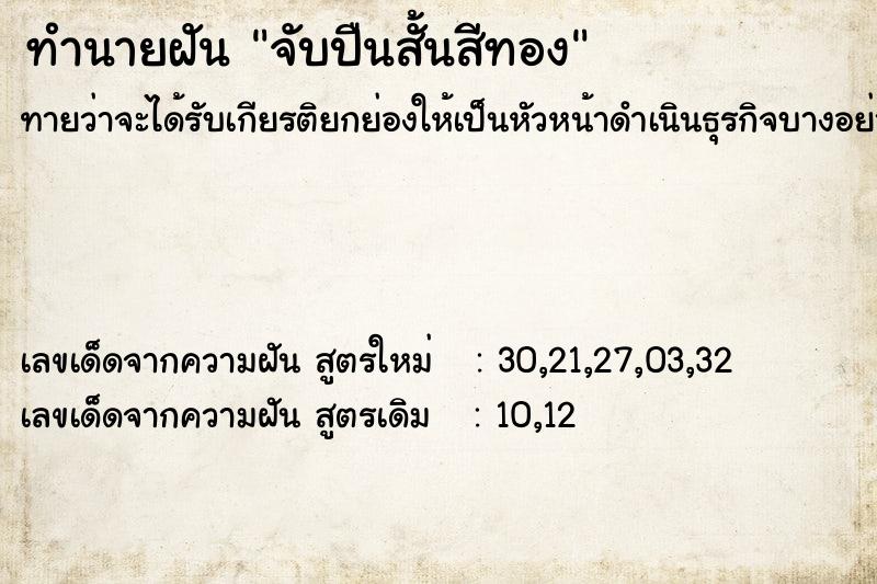 ทำนายฝัน จับปืนสั้นสีทอง