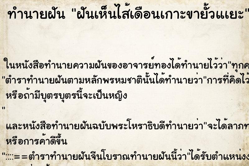 ทำนายฝันฝันเห็นไส้เดือนเกาะขายั้วแเยะ ทำนายฝันทำนายฝันฝันเห็นไส้เดือนเกาะขายั้วแเยะ